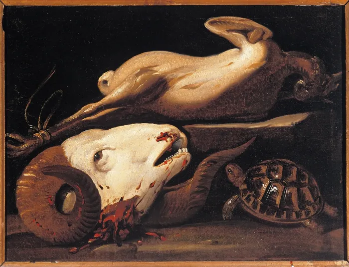 Framed Print : Still Life with Ram Head, Turtle and Plucked Chicken, by Giovan Battista Crespi known as Cerano, 17th Century, oil on canvas, cm 51 x 68 - Italy, Lombardy, Milan
