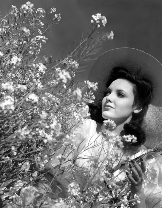 Framed Print : Linda Darnell, 1943 Framed Print : Linda Darnell, 1943