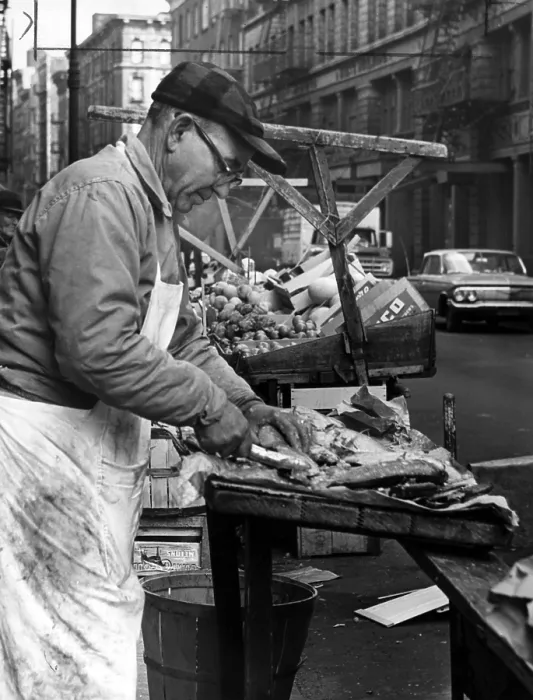 Framed Print : Little Italy, Charles Catalano cleaning fish at his pushcart on Hester & Mott streets, New York City, New York; photo by Phyllis Twachtman, 1964