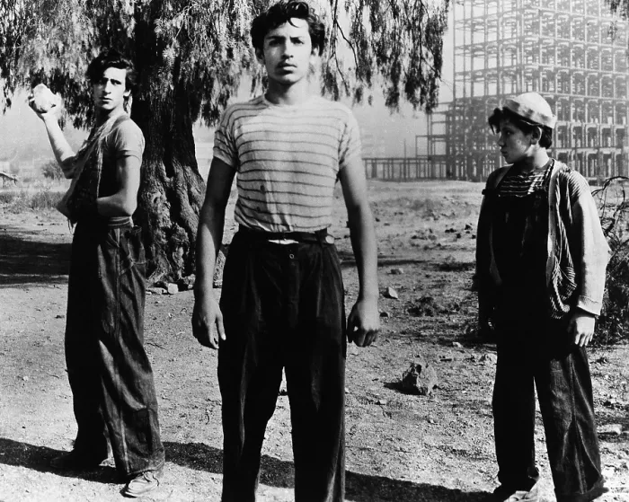 Framed Print : LOS OLVIDADOS, Roberto Cobo (left), Alfonso Mejia (center), 1950 Framed Print : LOS OLVIDADOS, Roberto Cobo (left), Alfonso Mejia (center), 1950