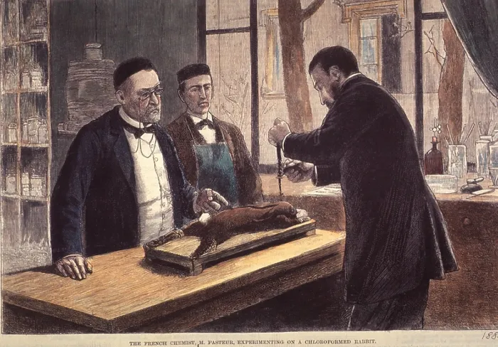 Framed Print : Louis Pasteur (1822-1895), French chemist and microbiologist, experimenting on a chloroformed rabbit during his search for a cure for rabies. 1885