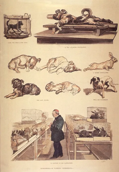 Framed Print : Louis Pasteur (1822-1895) in laboratory, working on hydrophobia (rabies) experiments, with rabbits and dogs. 1885 Framed Print : Louis Pasteur (1822-1895) in laboratory, working on hydrophobia (rabies) experiments, with rabbits and dogs. 1885