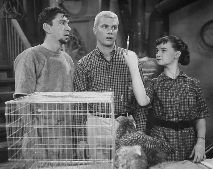 Framed Print : THE MANY LOVES OF DOBIE GILLIS, (aka DOBIE GILLIS), Bob Denver, Dwayne Hickman, Sheila James Kuehl, The Chicken from Outer Space, (Season 1, Episode 23, aired Mar 8, 1960) Framed Print : THE MANY LOVES OF DOBIE GILLIS, (aka DOBIE GILLIS), Bob Denver, Dwayne Hickman, Sheila James Kuehl, The Chicken from Outer Space, (Season 1, Episode 23, aired Mar 8, 1960)