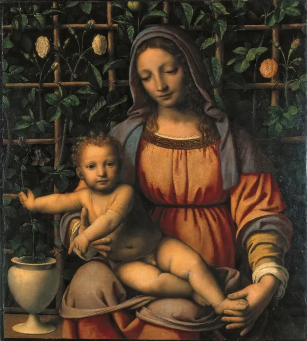 Framed Print : Luini Bernardino, Madonna and Child (Madonna del Roseto), 1505 - 1510, 16th Century, oil on poplar wood, Italy, Lombardy, Milan, Brera Art Gallery Framed Print : Luini Bernardino, Madonna and Child (Madonna del Roseto), 1505 - 1510, 16th Century, oil on poplar wood, Italy, Lombardy, Milan, Brera Art Gallery
