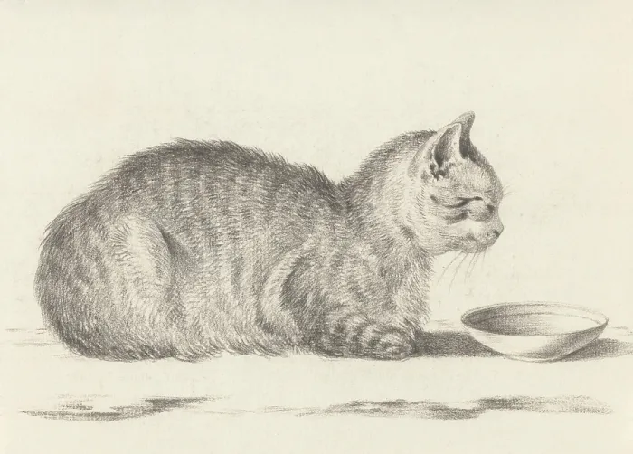 Framed Print : Lying Cat, Facing Right, by a Dish, by Jean Bernard, 1812, Dutch chalk drawing. (BSLOC_2016_1_271)