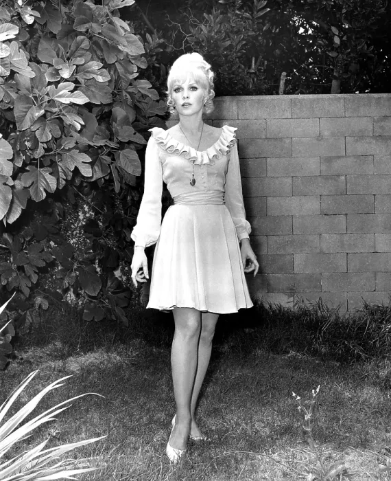Framed Print : THE MAD ROOM, Stella Stevens (in a dress by Moss Mabry), 1969 Framed Print : THE MAD ROOM, Stella Stevens (in a dress by Moss Mabry), 1969