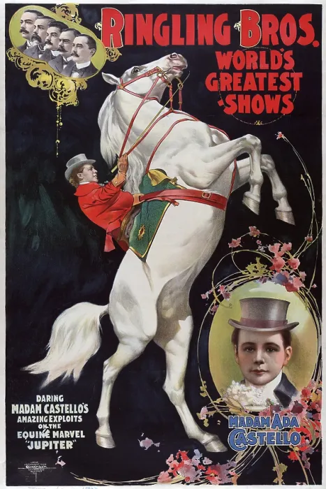 Framed Print : Madam Ada Castello, equestrian performer in the Barnum & Bailey circus. chromolithograph ca. 1900