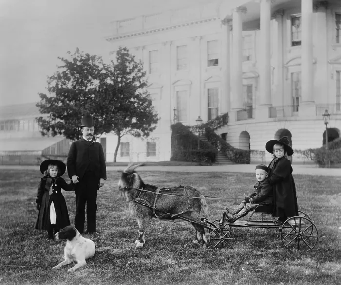 Framed Print : Major Russell Harrison and Harrison grandchildren, Baby McKee and Mary McKee on goat cart