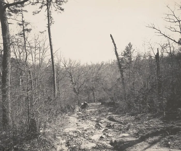 Framed Print : Man attempting to drive a horse and carriage on a rocky dirt road through woods, 1894. The road was at Biltmore, Asheville, North Carolina (BSLOC_2018_2_179)