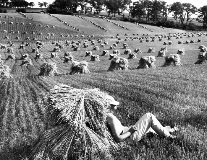 Framed Print : A man lounges around in a wheat field. Date unknown. Courtesy of CSU Archives / Everett Collection Framed Print : A man lounges around in a wheat field. Date unknown. Courtesy of CSU Archives / Everett Collection