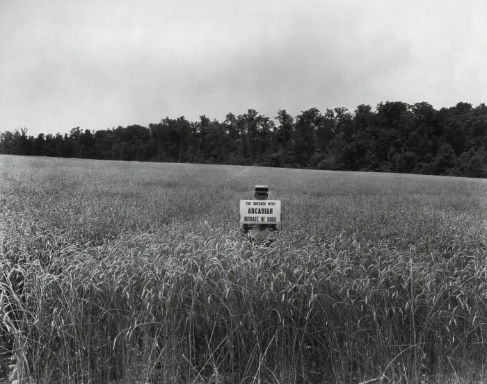 Framed Print : Man in a wheat field holding a sign, Top Dressed with Arcadian Nitrate of Soda. 1936 (BSLOC_2013_8_169)