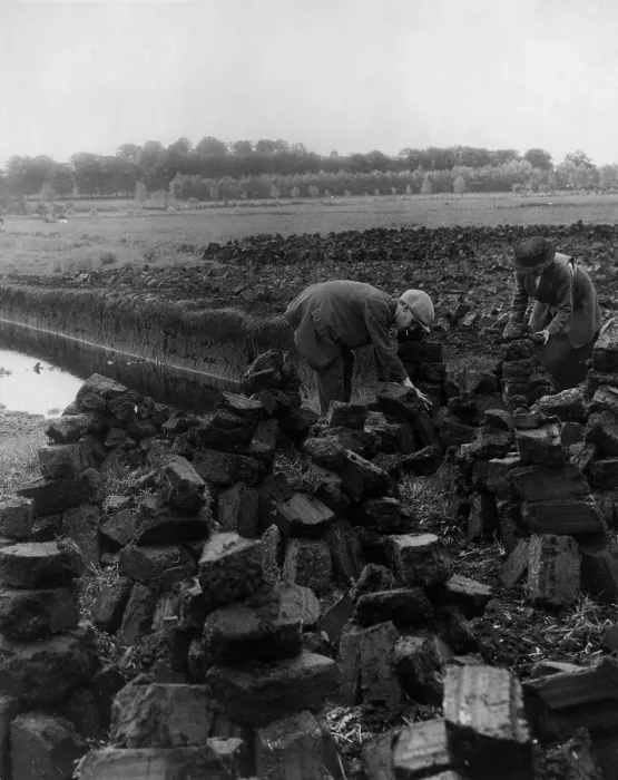 Framed Print : Man and woman digging for peat which, when dried, is a fuel source for heating and cooking. Ireland, between 1880 and 1930 Framed Print : Man and woman digging for peat which, when dried, is a fuel source for heating and cooking. Ireland, between 1880 and 1930