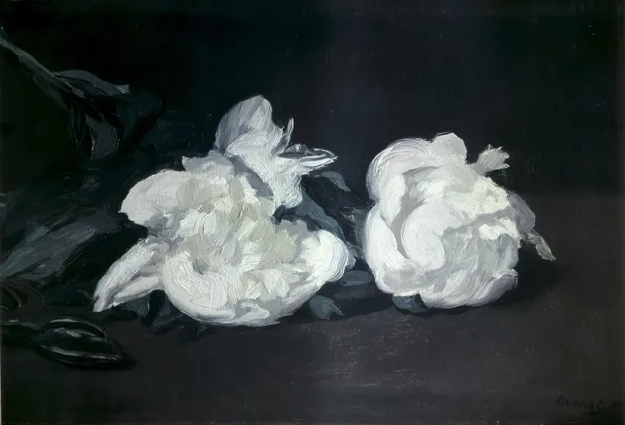 Framed Print : MANET, edouard (1832-1883). Branch of White Peonies and Secateurs (Branche de pivoines blanches et secateur). 1864. Impressionism. Oil on canvas. FRANCE. Paris Framed Print : MANET, edouard (1832-1883). Branch of White Peonies and Secateurs (Branche de pivoines blanches et secateur). 1864. Impressionism. Oil on canvas. FRANCE. Paris
