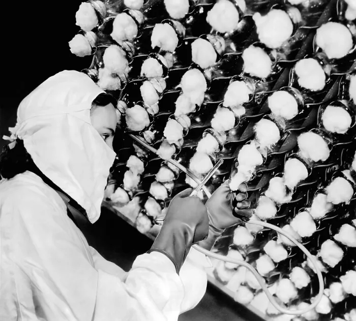 Framed Print : Manufacturing the new wonder drug, penicillin. The Pharmaceutical worked inoculates a sterile culture with seed spores of penicillium notatum