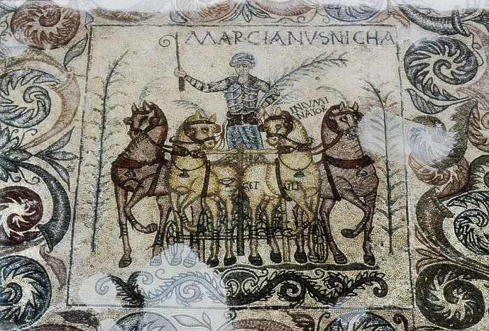 Framed Print : Marcianus mosaic. 4th c. Side detail depicting Victorious Charioteer Marcianus. Roman art. Late Empire. Mosaic. SPAIN. Mrida.. National Museum of Roman Art