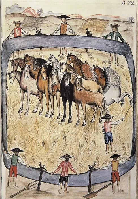 Framed Print : MARTiNEZ COMPAnoN Y BUJANDA, Baltasar Jaime (1735-1797). Trujillo del Peru en el siglo XVIII. 1782 - 1785