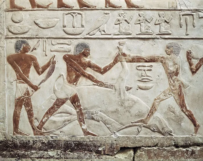 Framed Print : Mastaba of Princess Idut. 24th c. BC. EGYPT. Saqqara. Slaughter scene. Egyptian art. Old Kingdom. Relief. AISA / Everett Collection**US SALES ONLY**