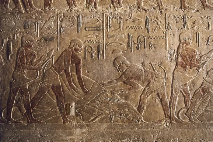 Framed Print : Mastaba of Ti. EGYPT. Saqqara. Mastaba of Ti. Bull sacrifice. Egyptian art. Old Kingdom. Relief. AISA / Everett Collection**US SALES ONLY**