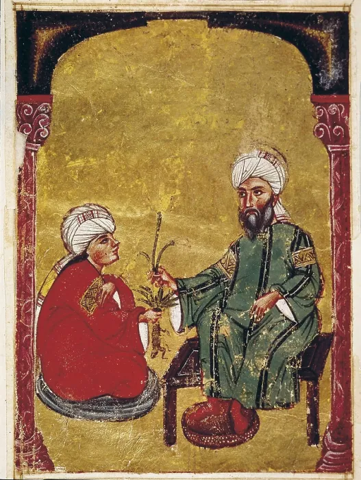 Framed Print : De Materia Medica. 1st half 18th c. Sultan Ahmet III gives some medicinal plants to one of his disciples. Islamic art. Gouache; Miniature Painting. TURKEY. Istanbul