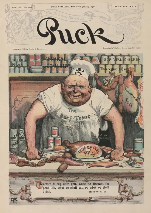 Framed Print : THE MEAT MARKET a 1906 cartoon by Carl Hassmann shows a butcher with meats labeled Potted Poison Chemical Corn Beef Bob Veal Chicken Tuberculosis Lard Decayed Roast Beef