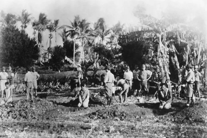Framed Print : Three men kneel before their open graves on Guam in 1941. Behind them are Japanese soldiers about to decapitate them with swords Framed Print : Three men kneel before their open graves on Guam in 1941. Behind them are Japanese soldiers about to decapitate them with swords