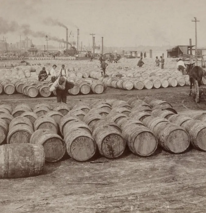 Framed Print : Men work among thousands of barrels of sugar on the levee in New Orleans, 1902. A man in the foreground tastes sugar from a barrel