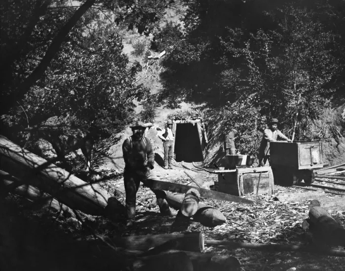 Framed Print : Four men working in Californias Sierra Nevada gold mining district, 1870-1900. In the foreground a man saws wood for bracing the underground mine shaft Framed Print : Four men working in Californias Sierra Nevada gold mining district, 1870-1900. In the foreground a man saws wood for bracing the underground mine shaft