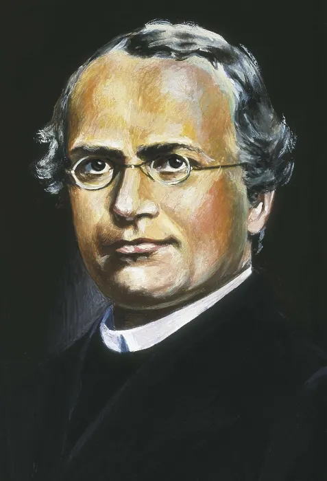 Framed Print : Mendel, Gregor Johann (1822-1884). Painting. AISA / Everett Collection**US SALES ONLY**