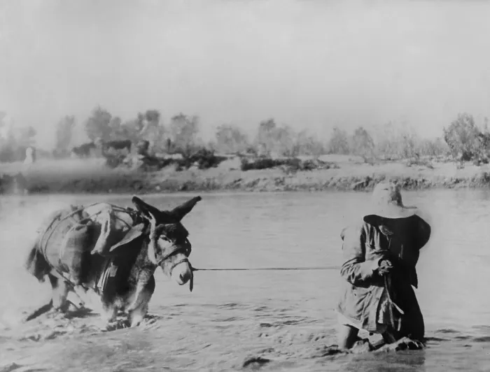 Framed Print : Mexican man leads a loaded donkey crossing the Rio Grande at Ojinaga, Mexico, 1910-1915