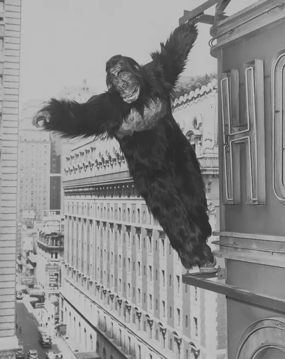 Framed Print : MIGHTY JOE YOUNG, publicity photo, 1949