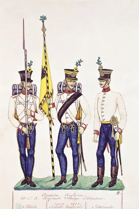 Framed Print : Military dresses of the Hungarian infantry. 19th c. 1838. Soldierstandard bearer sergeant and second lieutenant. Watercolour. AISA / Everett Collection (73)**US SALES ONLY**