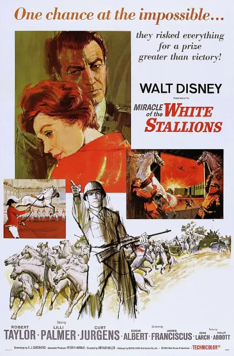 Framed Print : MIRACLE OF THE WHITE STALLIONS, US poster art, from left: Lilli Palmer, Robert Taylor, 1963