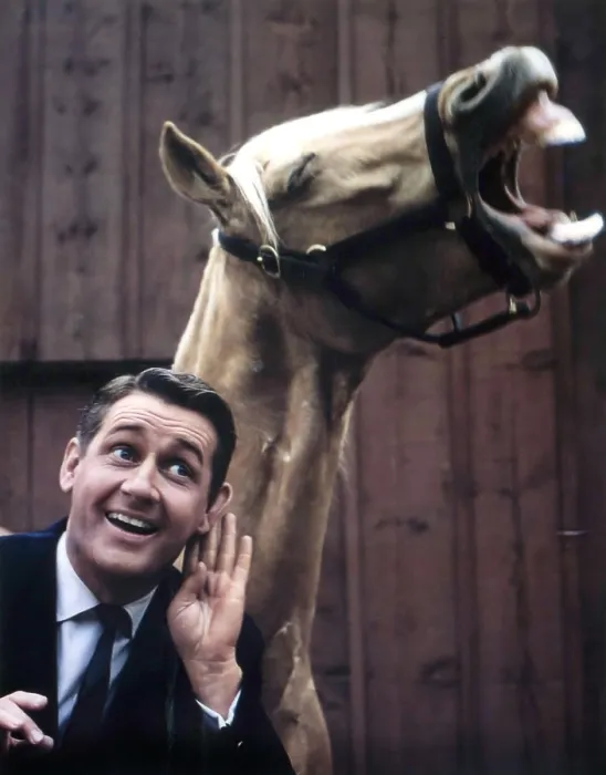 Framed Print : MISTER ED, Alan Young, Mister Ed, 1958-66