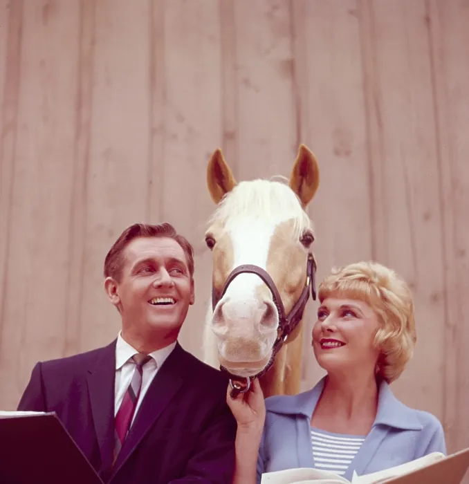 Framed Print : MISTER ED, Alan Young, Mister Ed, Connie Hines, 1958-66