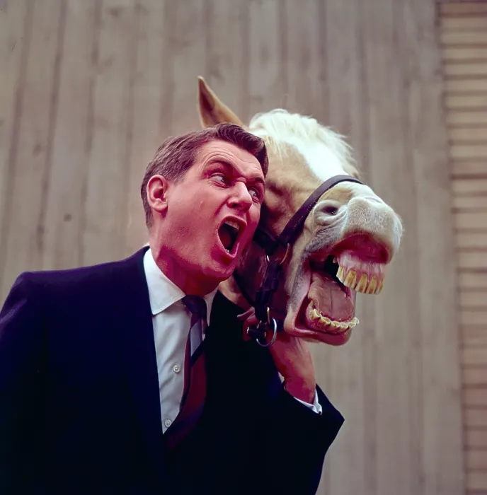 Framed Print : MISTER ED, Mister Ed, Alan Young, 1958-66