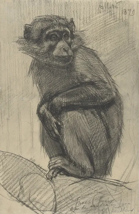 Framed Print : Monkey on a Branch, by August Allebe, 1879, Dutch drawing, chalk on paper. (BSLOC_2016_1_265)