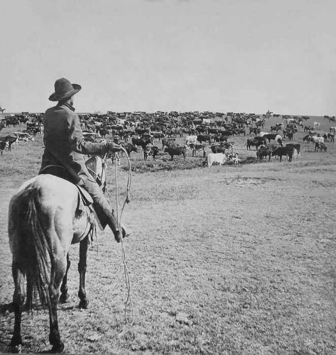 Framed Print : Mounted cowboy holds lasso on the open range on the Sherman Ranch, Genesee, Kansas. His fellow cowpunchers are positioned on the horizon, ca. 1902 (BSLOC_2020_1_54) Framed Print : Mounted cowboy holds lasso on the open range on the Sherman Ranch, Genesee, Kansas. His fellow cowpunchers are positioned on the horizon, ca. 1902 (BSLOC_2020_1_54)