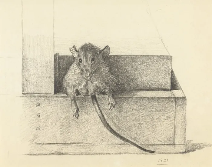 Framed Print : Mouse Caught in a Trap, by Jean Bernard, 1825, Dutch pencil drawing. (BSLOC_2016_1_273)