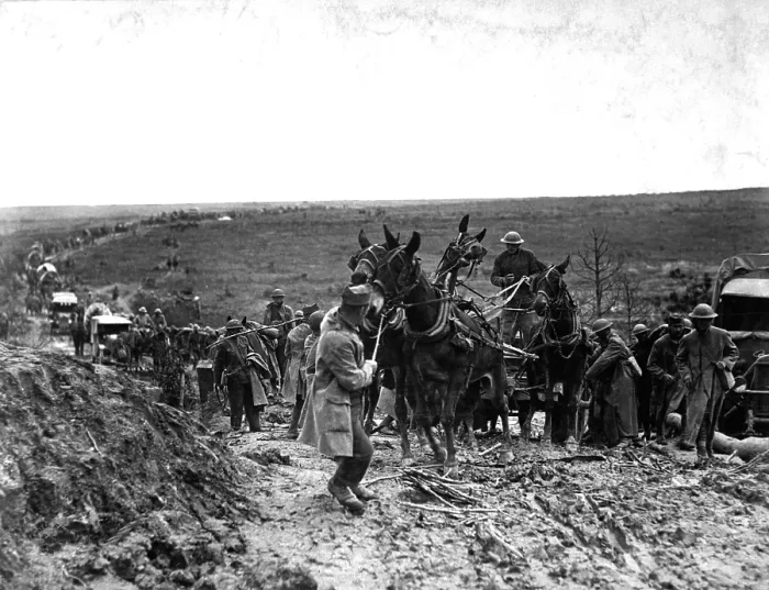 Framed Print : Mules baulking in an American ammunition wagon stuck in the road, holding up the advance of the whole column during the Battle of Saint-Mihiel. World War I. Sept. 13, 1918