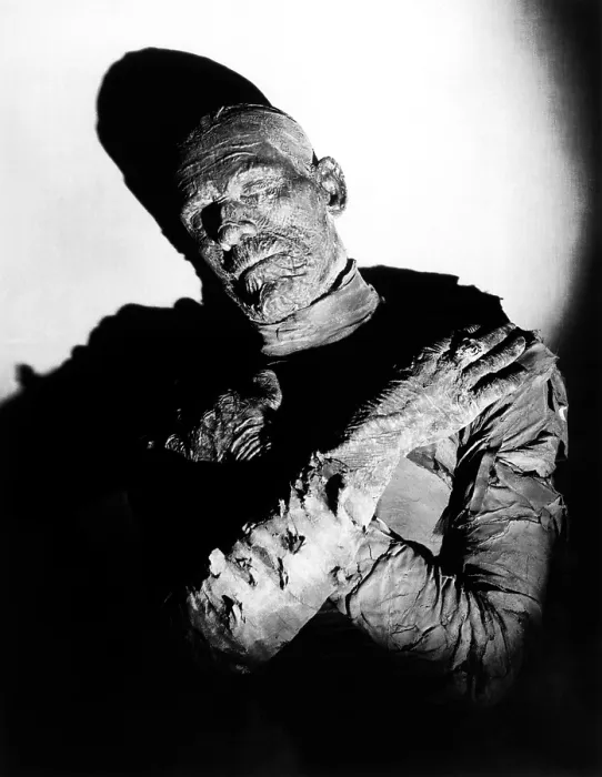 Framed Print : THE MUMMY, Boris Karloff, 1932 boriskarloff-fst11(boriskarloff-fst11)