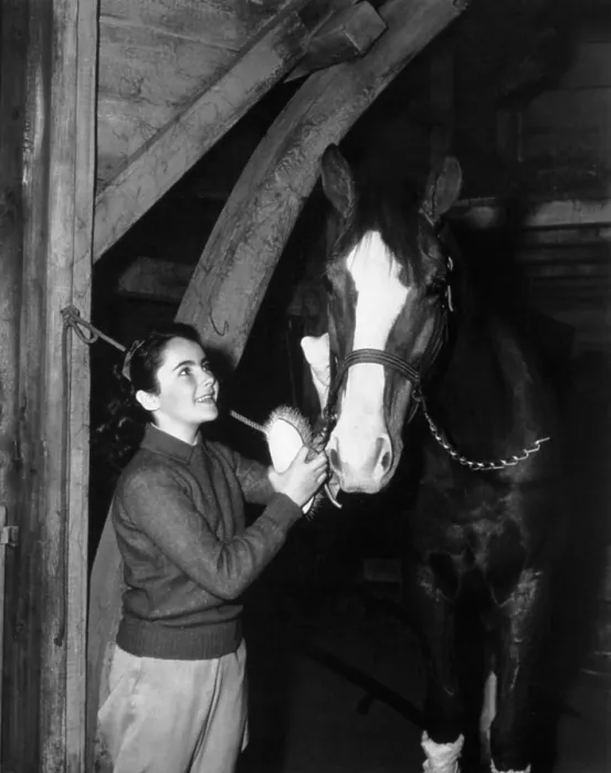 Framed Print : NATIONAL VELVET, Elizabeth Taylor, 1944