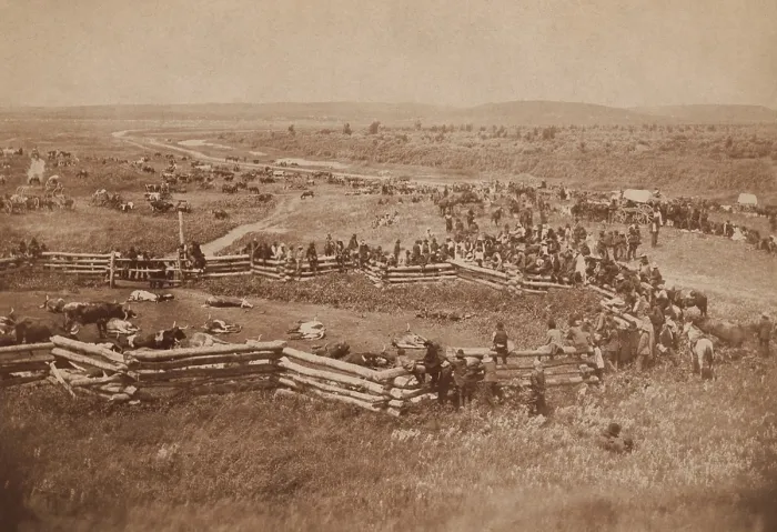 Framed Print : Native Americans shooting US government supplied cattle at Standing Rock Reservation, ca. 1890 Framed Print : Native Americans shooting US government supplied cattle at Standing Rock Reservation, ca. 1890