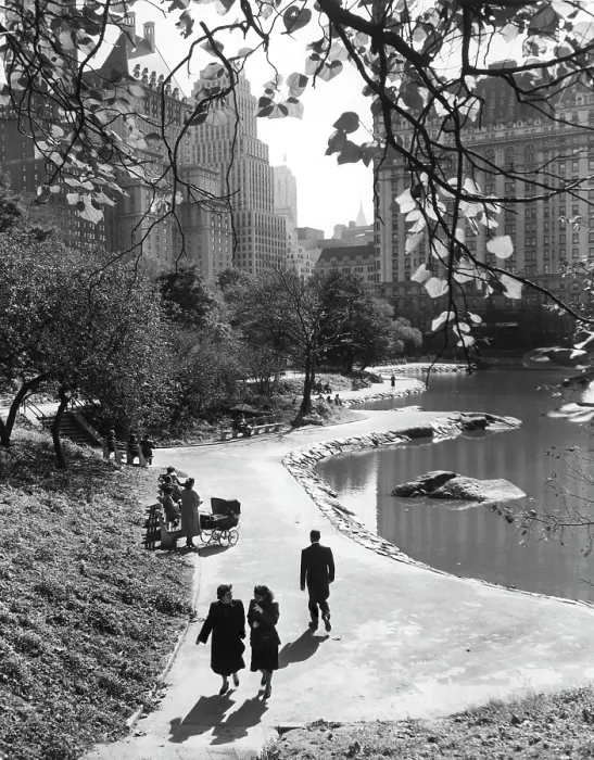 Framed Print : New York City, Central Park, with a view of the hotels on Fifth Avenue and Central Park South, 10 / 12 / 1951. CSU Archives / Everett Collection Framed Print : New York City, Central Park, with a view of the hotels on Fifth Avenue and Central Park South, 10 / 12 / 1951. CSU Archives / Everett Collection