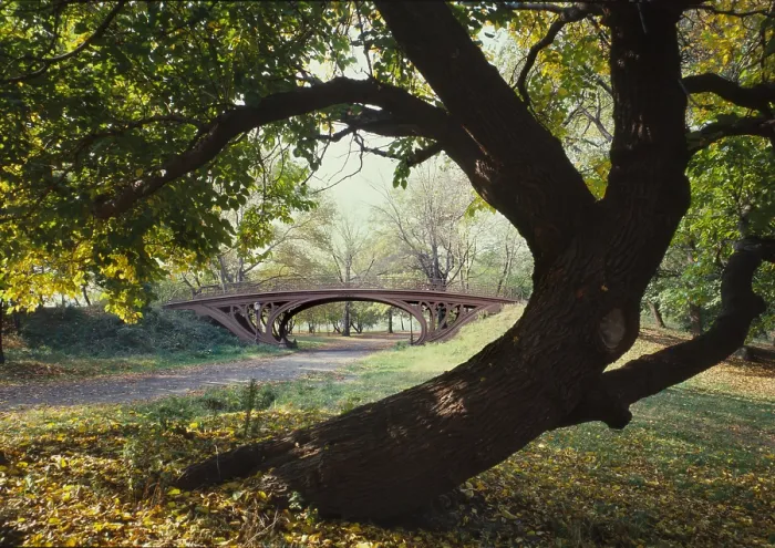 Framed Print : New York City, Central Park's Gothic Arch, view from bridlepath looking southwest, photograph by Jet Lowe, circa 1980s