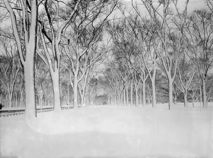 Framed Print : New York City, the Mall, Central Park, circa 1910-1915