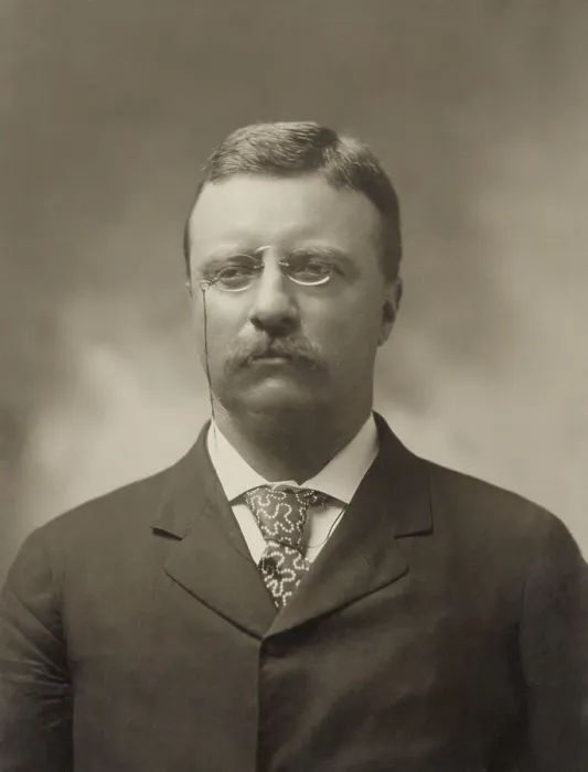 Framed Print : New York Governor Theodore Roosevelt in July 1900 by George Prince. Bust portrait taken as incumbent President William McKinleys running mate (BSLOC_2017_4_31)
