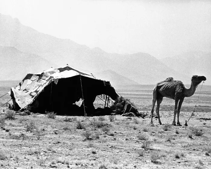 Framed Print : Nomadic tents can be seen in a mountainous area outside of Kabul, Afghanistan. Sept. 17, 1971. (CSU_ALPHA_1060) CSU Archives / Everett Collection