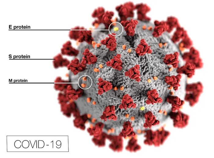 Framed Print : Novel Coronavirus SARS-CoV-2, causes coronavirus disease-2019, abbreviated as COVID-19. An illustration shows the spikes on the virus outer surface