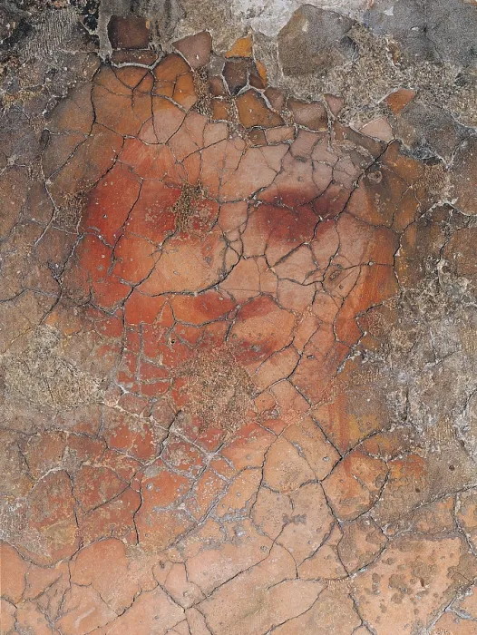 Framed Print : Nude, by Giorgio da Castelfranco known as Giorgione, 1505 - 1508 about, 16th Century, detached fresco, cm 250 x 140 - Italy, Veneto, Venice, Ca dOro. Detail Framed Print : Nude, by Giorgio da Castelfranco known as Giorgione, 1505 - 1508 about, 16th Century, detached fresco, cm 250 x 140 - Italy, Veneto, Venice, Ca dOro. Detail