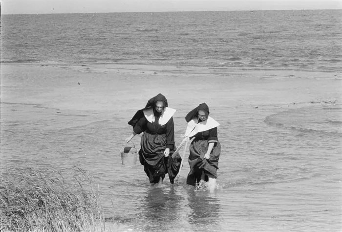 Framed Print : Nuns clamming on Long Island, New York, photograph by Toni Frissell, 1957